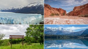 Lee más sobre el artículo Declaración del CONDET ante los anuncios de desregulación en los Parques Nacionales