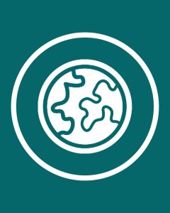 Lee más sobre el artículo ¿Qué es la Geografía?