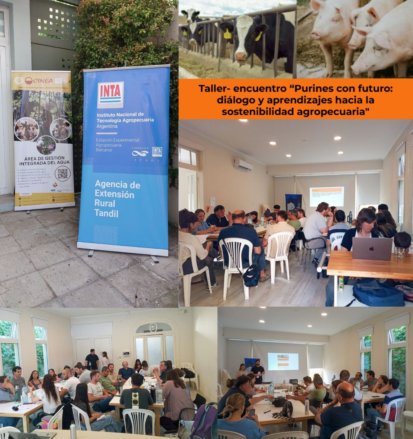 En este momento estás viendo Taller sobre purines y sostenibilidad agropecuaria